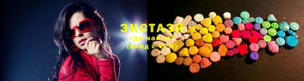 гашик Каменка