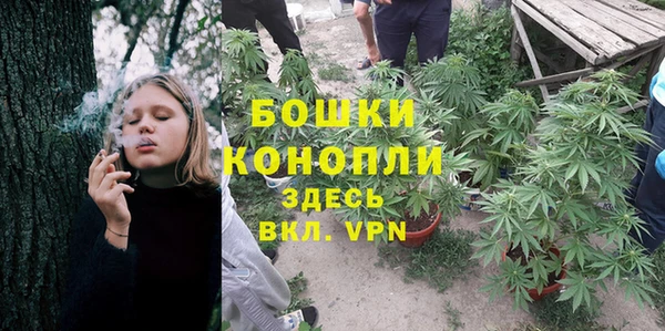 ALPHA PVP Карталы