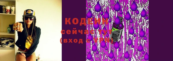 ешки Карпинск