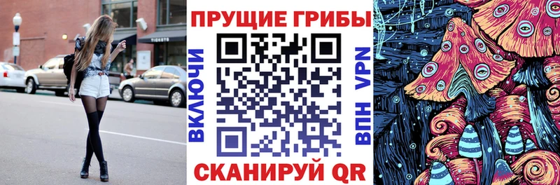 купить  цена  Называевск  Псилоцибиновые грибы Cubensis 